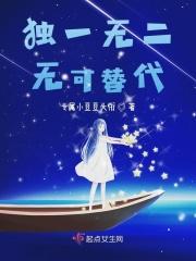 独一无二，无可替代