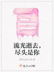 流光逝去，尽头是你