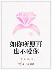 如你所愿再也不爱你