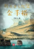 我在诸天搜集金手指
