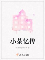 小茶忆传