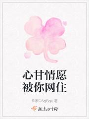 心甘情愿被你网住