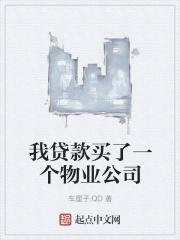 我贷款买了一个物业公司