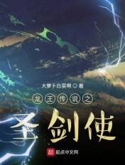 龙王传说之圣剑使