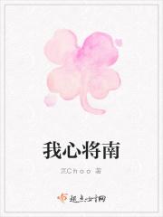 我心将南