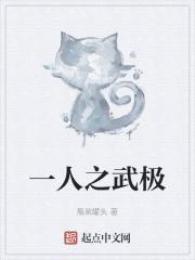 一人之武极