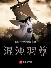 贼牛的混沌之主