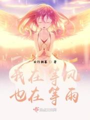 我在等风，也在等雨