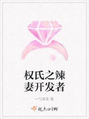 权氏之辣妻开发者