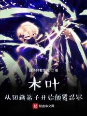 木叶:从团藏弟子开始颠覆忍界