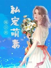 陆少的私宠萌妻