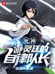 死神:瀞灵廷的自律队长