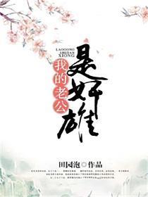 我的老公是奸雄