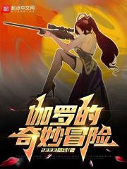 伽罗的奇妙历险