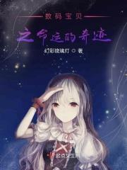 数码宝贝之命运的奇迹