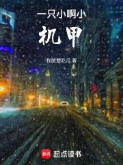 一只小啊小机甲