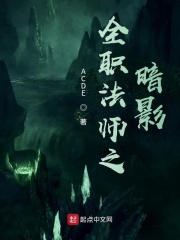 全职法师之暗影